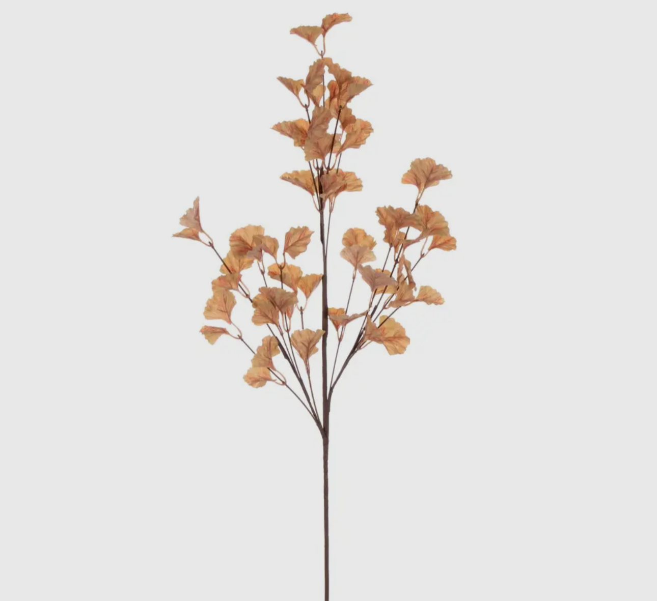 Yellow Orange Ginkgo Leaf Spray