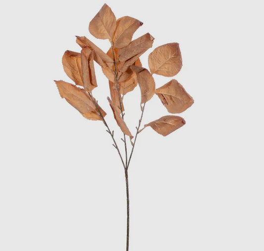 Brown Leaf Spray