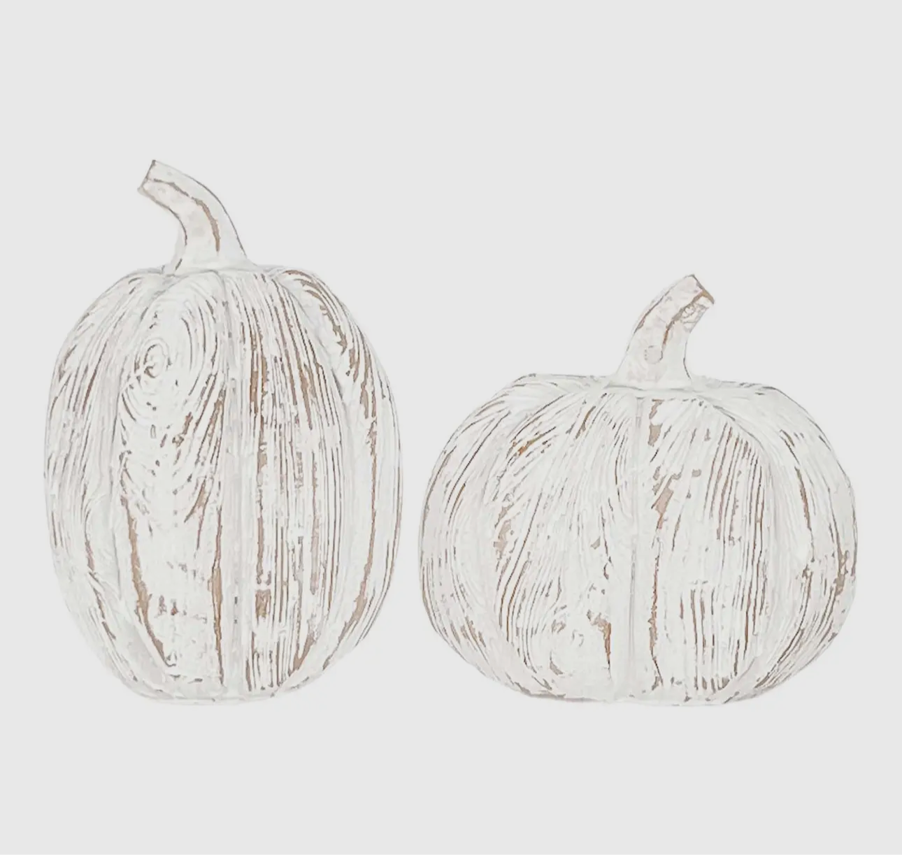 2 Distressed Large Pumpkins